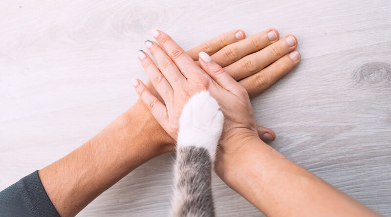 Partnership con Un Gommino per Amico ODV