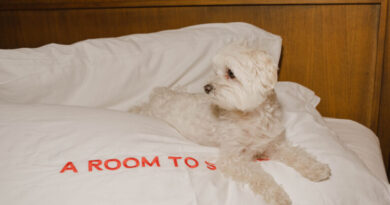 Room Mate Hotels diventa pet-friendly