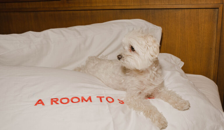 Room Mate Hotels diventa pet-friendly