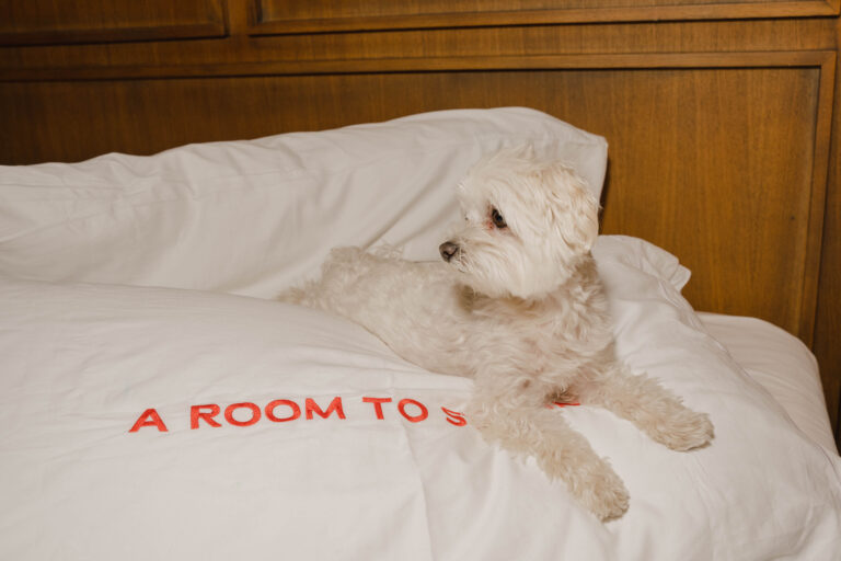 Room Mate Hotels diventa pet-friendly